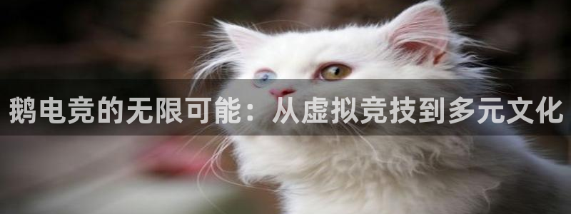 易游电竞官网：鹅电竞的无限可能：从虚拟竞技到多元文化