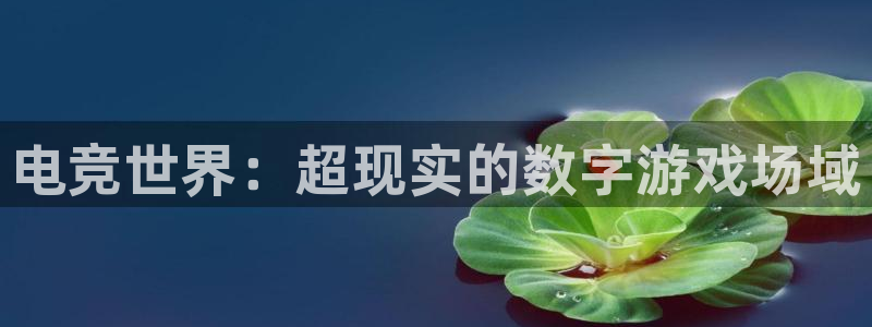 易游电竞官网：电竞世界：超现实的数字游戏场域