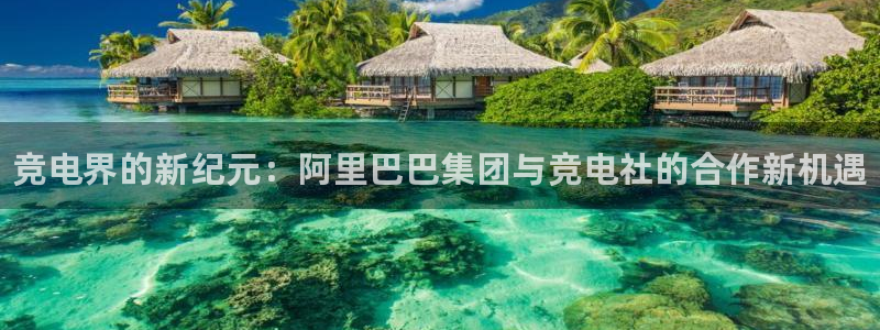 易游电竞：竞电界的新纪元：阿里巴巴集团与竞电社的合作新机遇