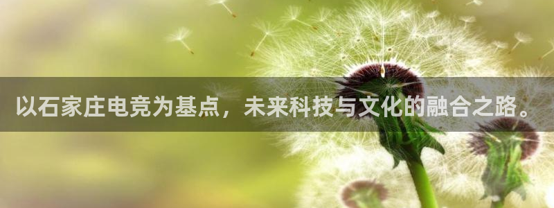 易游电竞官网：以石家庄电竞为基点，未来科技与文化的融合之路。