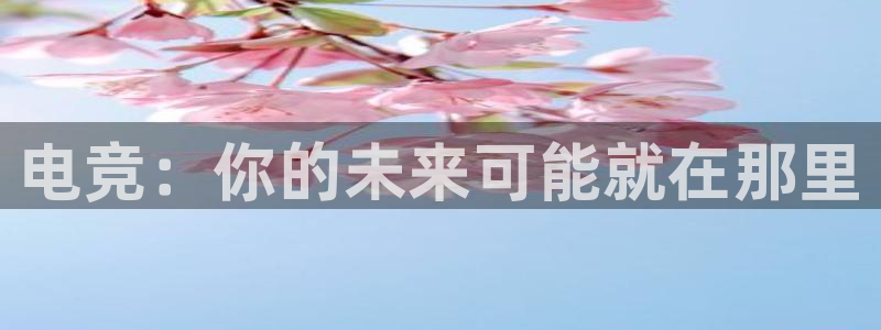 易游电竞官网：电竞：你的未来可能就在那里