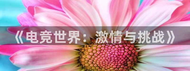 易游电竞：《电竞世界：激情与挑战》