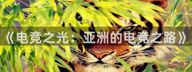 易游电竞：《电竞之光：亚洲的电竞之路》