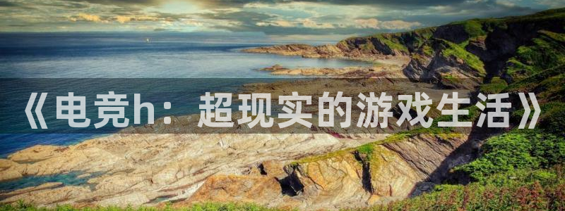易游电竞官网：《电竞h：超现实的游戏生活》