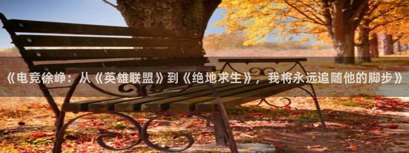 易游电竞官网：《电竞徐峥：从《英雄联盟》到《绝地求生》，我将永远追随他的脚步》