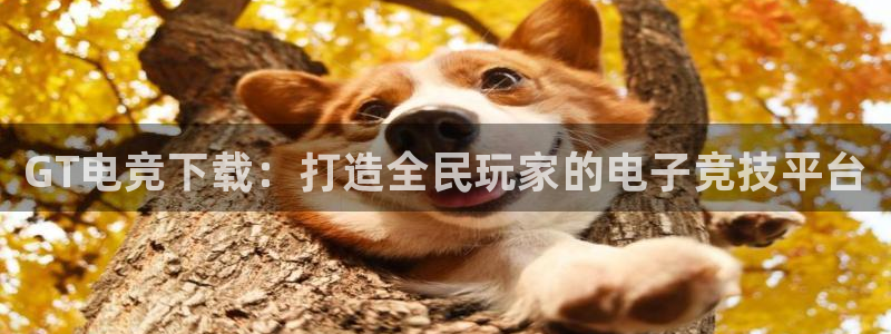 易游电竞官网：GT电竞下载：打造全民玩家的电子竞技平台