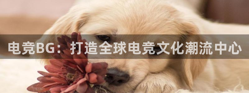 易游电竞：电竞BG：打造全球电竞文化潮流中心