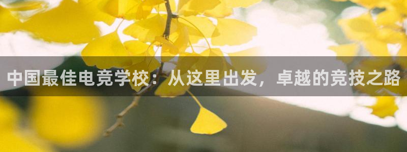 易游电竞官网：中国最佳电竞学校：从这里出发，卓越的竞技之路