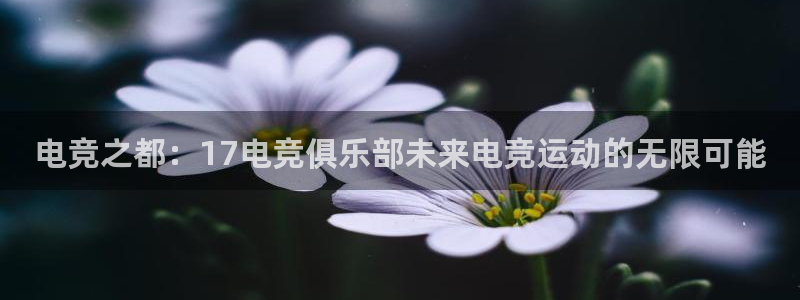易游电竞官网：电竞之都：17电竞俱乐部未来电竞运动的无限可能