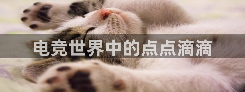 易游电竞官网：电竞世界中的点点滴滴