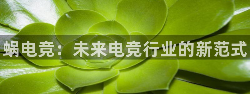 易游电竞：蜗电竞：未来电竞行业的新范式