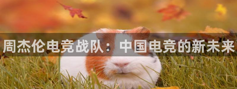 易游电竞官网：周杰伦电竞战队：中国电竞的新未来