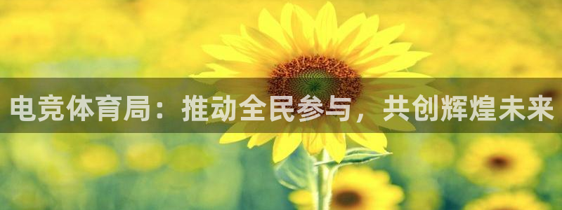 易游电竞：电竞体育局：推动全民参与，共创辉煌未来
