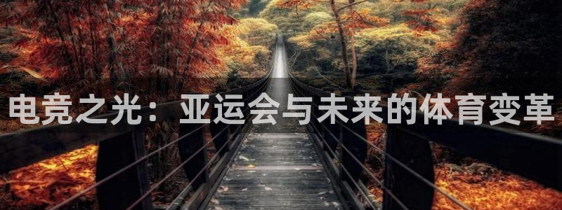 易游电竞官网：电竞之光：亚运会与未来的体育变革