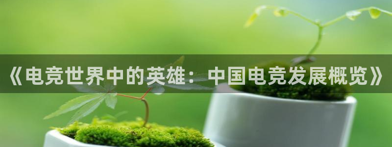 易游电竞官网：《电竞世界中的英雄：中国电竞发展概览》
