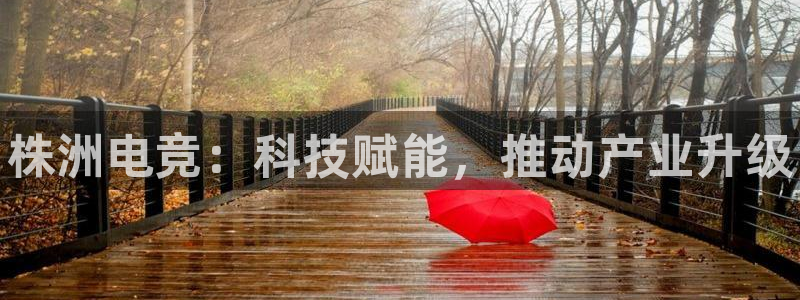 易游电竞官网：株洲电竞：科技赋能，推动产业升级
