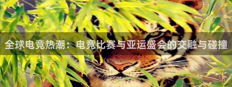 易游电竞：全球电竞热潮：电竞比赛与亚运盛会的交融与碰撞