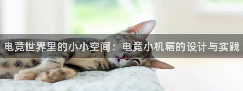 易游电竞官网：电竞世界里的小小空间：电竞小机箱的设计与实践