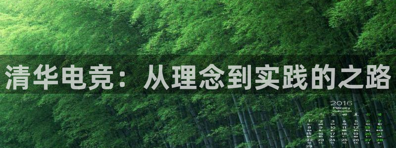 易游电竞：清华电竞：从理念到实践的之路