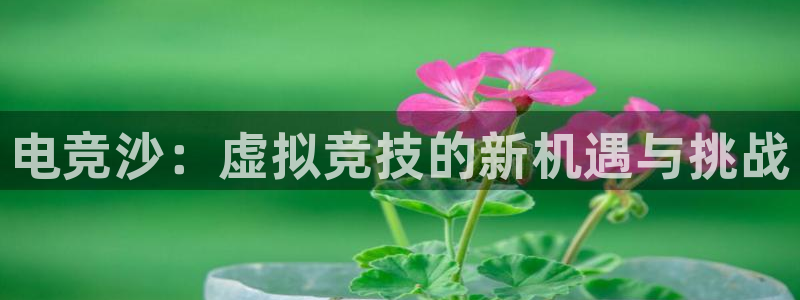 易游电竞官网：电竞沙：虚拟竞技的新机遇与挑战