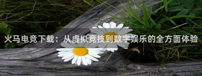 易游电竞官网：火马电竞下载：从虚拟竞技到数字娱乐的全方面体验