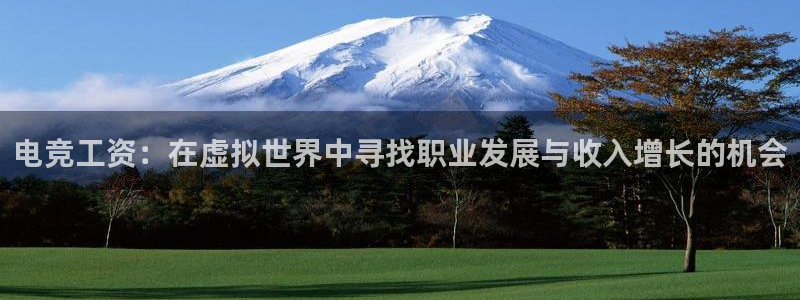 易游电竞官网：电竞工资：在虚拟世界中寻找职业发展与收入增长的机会