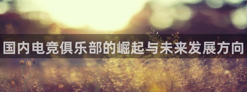 易游电竞官网：国内电竞俱乐部的崛起与未来发展方向