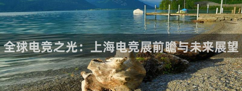 易游电竞官网：全球电竞之光：上海电竞展前瞻与未来展望