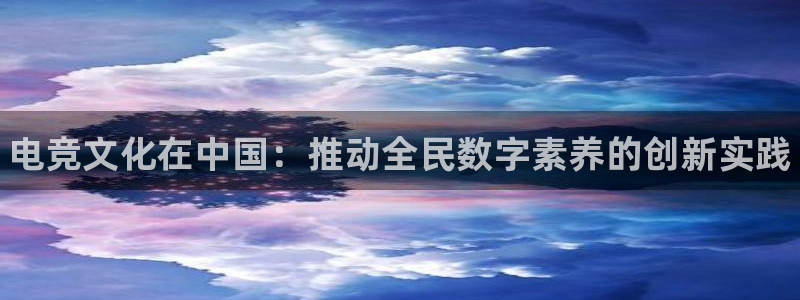 易游电竞官网：电竞文化在中国：推动全民数字素养的创新实践