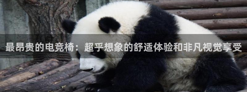 易游电竞官网：最昂贵的电竞椅：超乎想象的舒适体验和非凡视觉享受