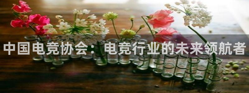 易游电竞：中国电竞协会：电竞行业的未来领航者