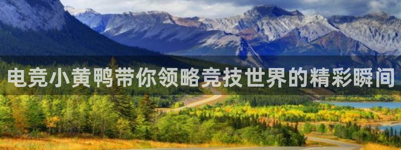 易游电竞官网：电竞小黄鸭带你领略竞技世界的精彩瞬间