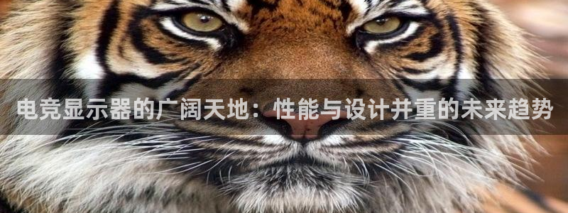 易游电竞：电竞显示器的广阔天地：性能与设计并重的未来趋势