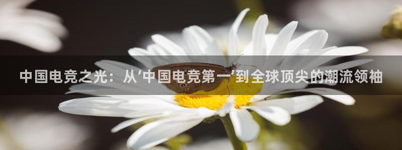 易游电竞官网：中国电竞之光：从‘中国电竞第一’到全球顶尖的潮流领袖