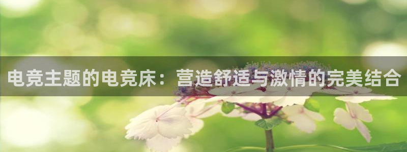 易游电竞官网：电竞主题的电竞床：营造舒适与激情的完美结合