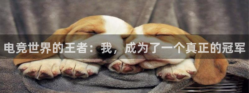 易游电竞官网：电竞世界的王者：我，成为了一个真正的冠军