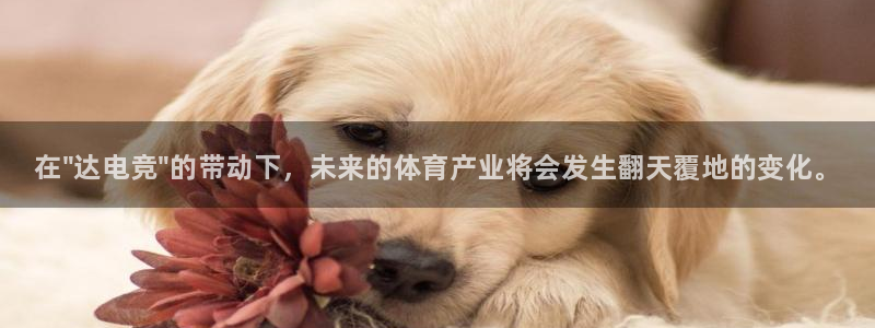 易游电竞：在\