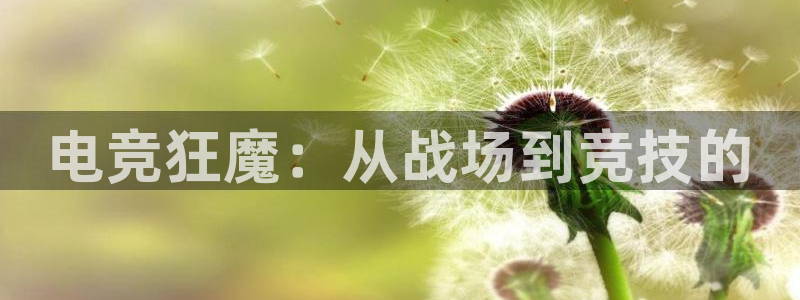 易游电竞官网：电竞狂魔：从战场到竞技的