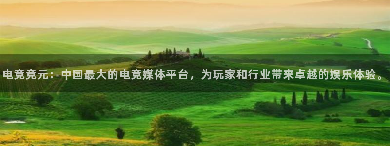 易游电竞官网：电竞竞元：中国最大的电竞媒体平台，为玩家和行业带来卓越的娱乐体验。
