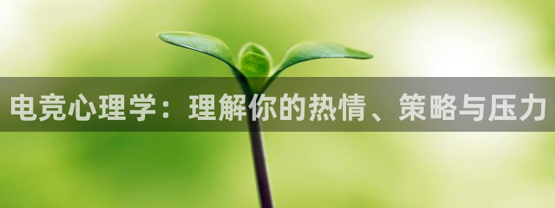 易游电竞：电竞心理学：理解你的热情、策略与压力