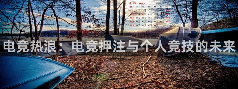 易游电竞官网：电竞热浪：电竞押注与个人竞技的未来