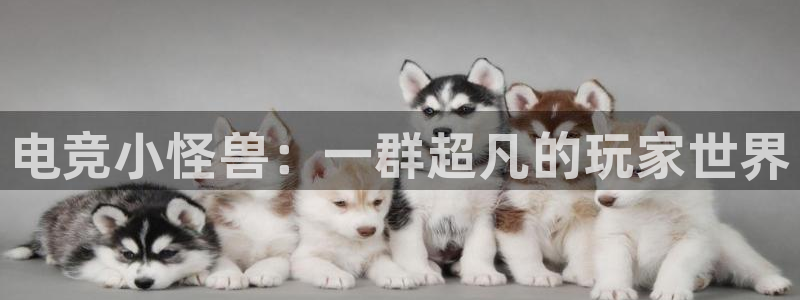 易游电竞官网：电竞小怪兽：一群超凡的玩家世界
