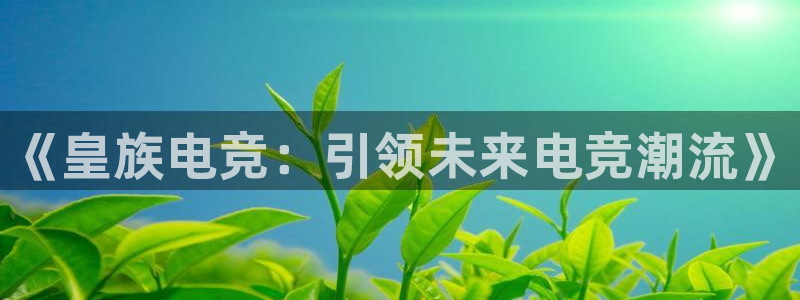 易游电竞：《皇族电竞：引领未来电竞潮流》