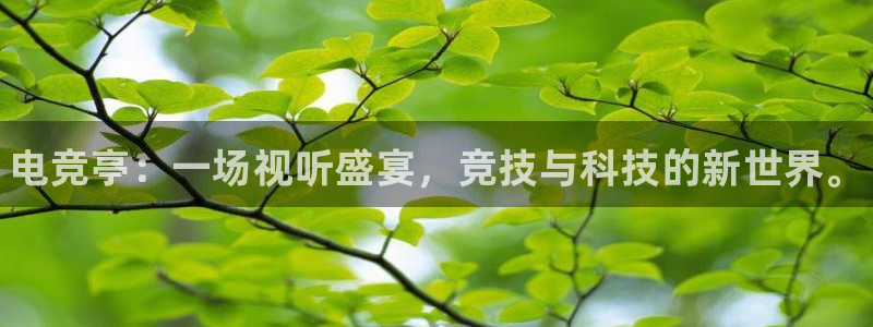 易游电竞：电竞亭：一场视听盛宴，竞技与科技的新世界。