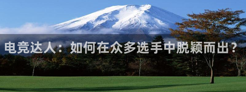 易游电竞官网：电竞达人：如何在众多选手中脱颖而出？