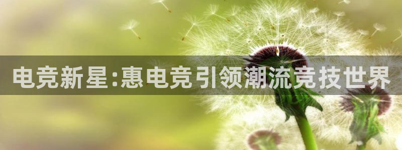易游电竞：电竞新星:惠电竞引领潮流竞技世界