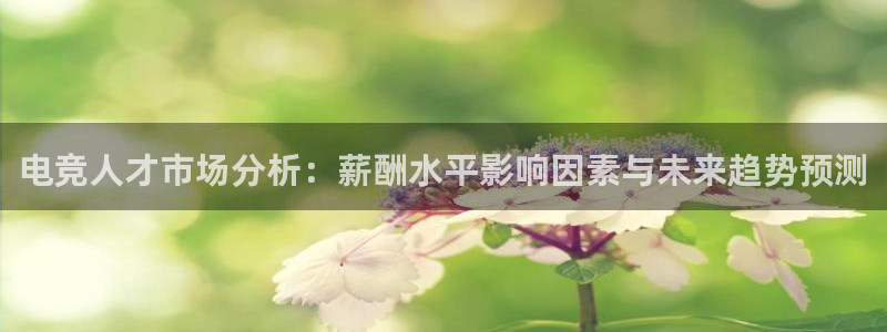 易游电竞官网：电竞人才市场分析：薪酬水平影响因素与未来趋势预测