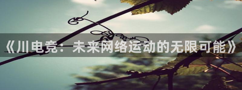 易游电竞：《川电竞：未来网络运动的无限可能》