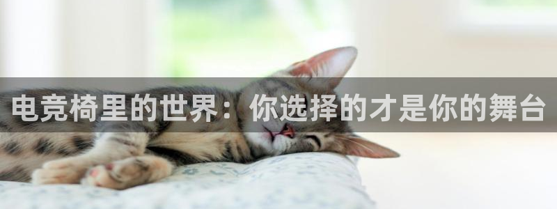 易游电竞官网：电竞椅里的世界：你选择的才是你的舞台