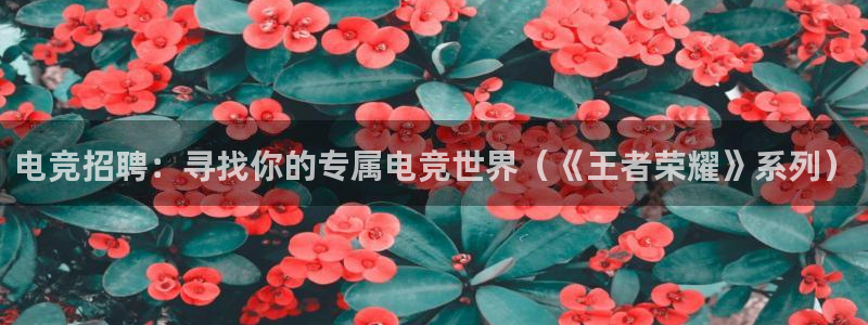 易游电竞：电竞招聘：寻找你的专属电竞世界（《王者荣耀》系列）
